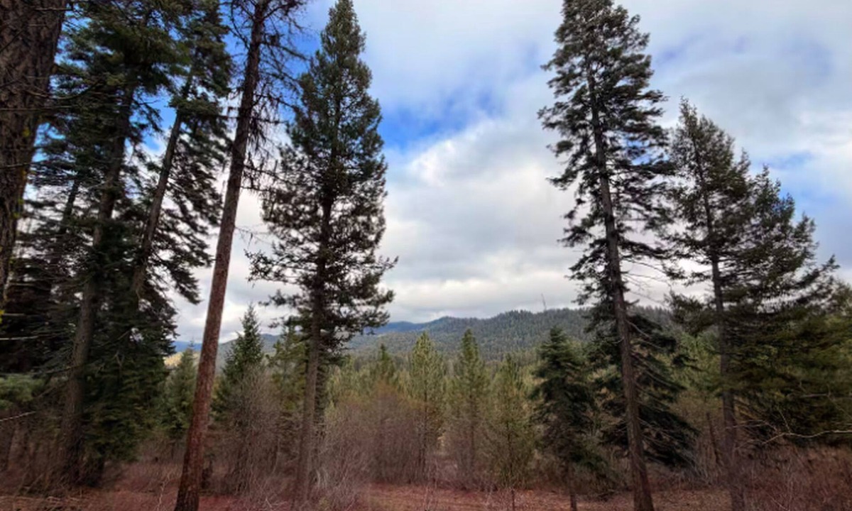 McCall Cabin | Bear Basin Lodge