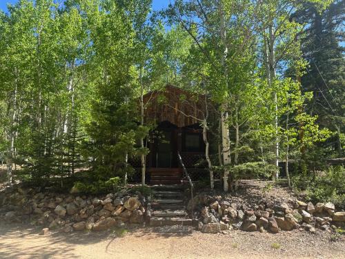 Red River House | Brown Dog Cabin With High Speed Wifi And Ac