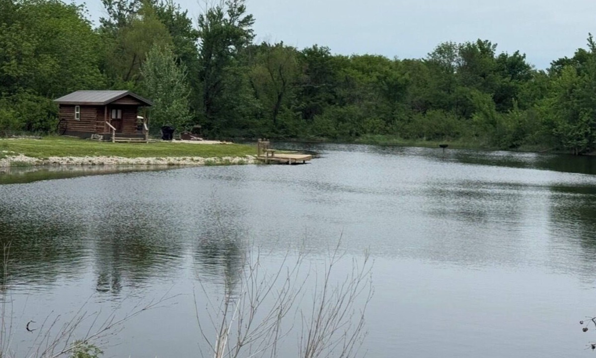 Lamont Cabin | Buffalo Cabin - Private Pond, Kayaks, Fire Pit on 150 Acres