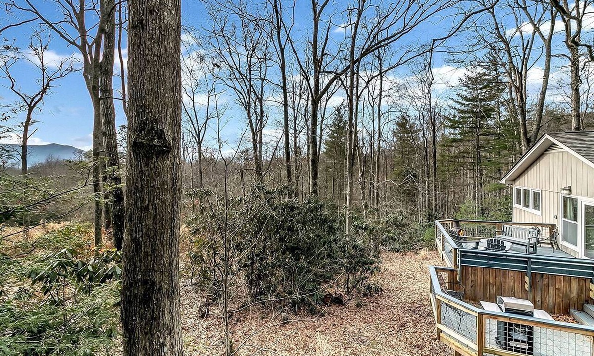 Black Mountain Cabin | Charming Mountain Treehouse with Forest Views near Downtown Black Mountain, NC