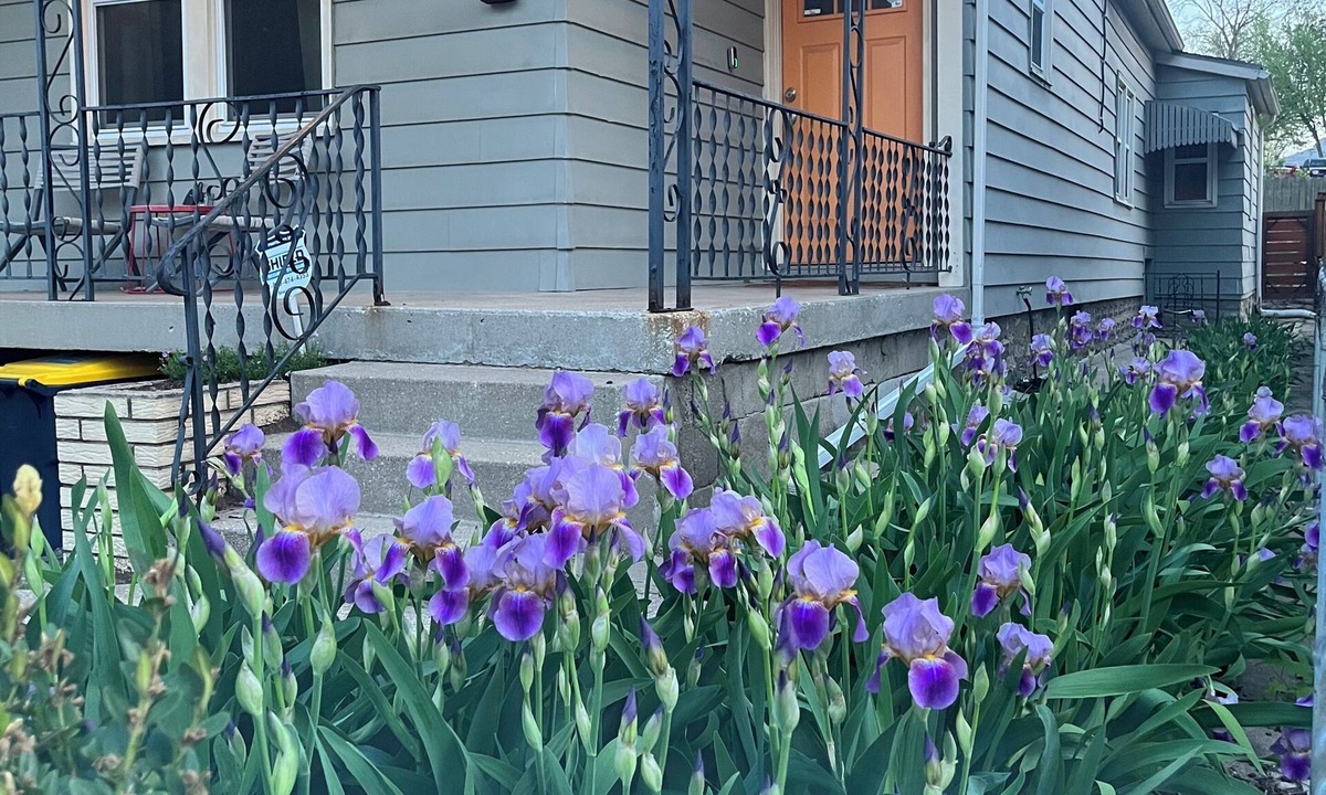 Pendleton Heights House | City Dweller - Pure Charm 3-bedroom house in Kansas City