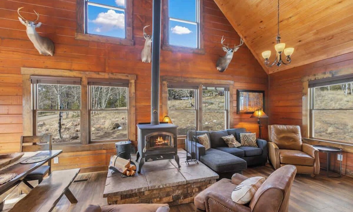 Lake George Cabin | Cozy Cabin @ 11 Mile Reservoir! Minutes from Lake!