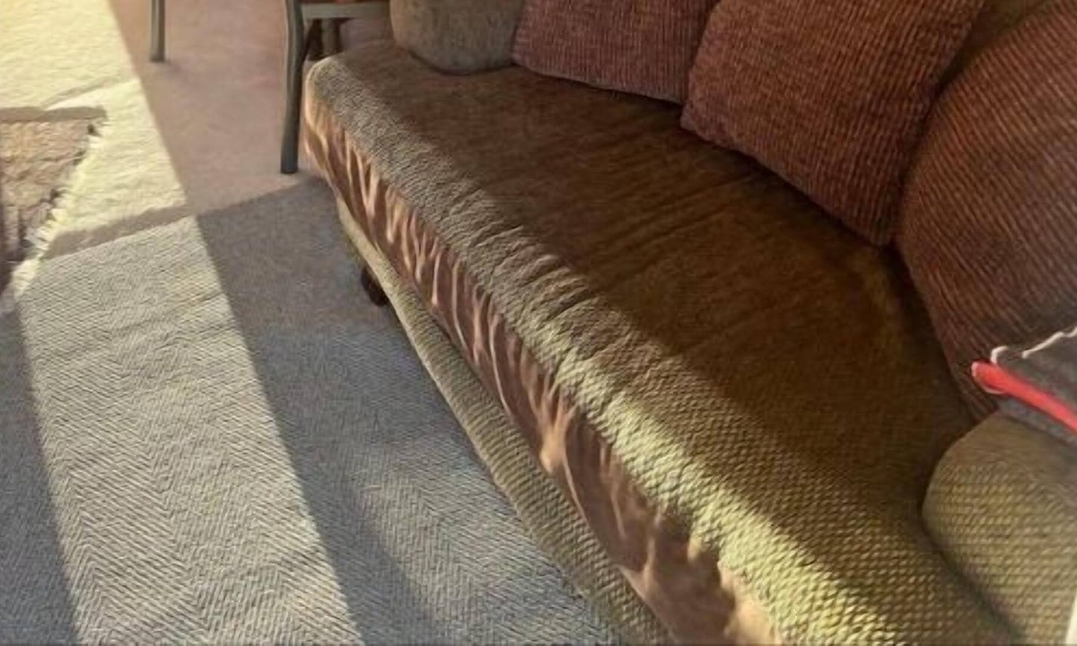 Colorado Springs Apartment | Cozy Suite near local attractions