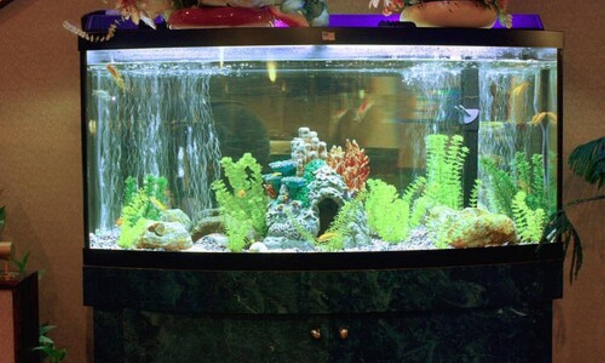 Garden City Hotel | Garden City Inn