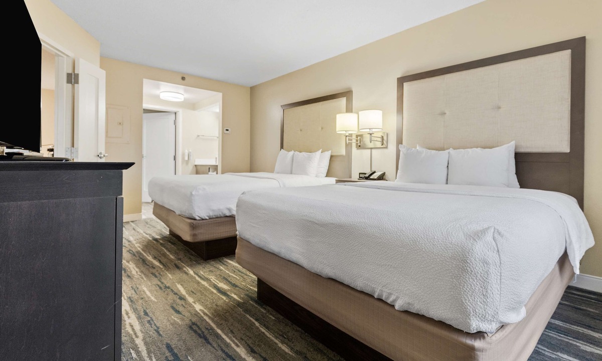 Wolfchase Hotel | Hampton Inn & Suites Memphis-Wolfchase Galleria