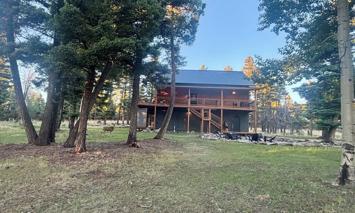 Angel Fire Cabin | Limited-Time August Special for Bear Necessities Lodge
