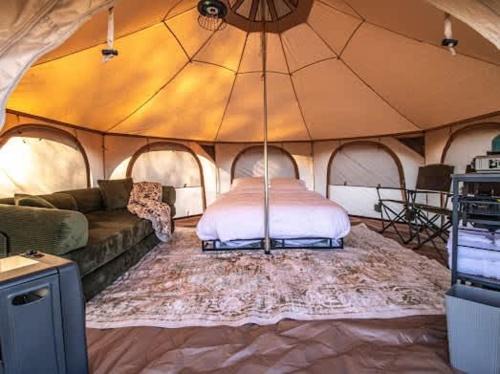 Farmington Other | Mesa Verde Tent