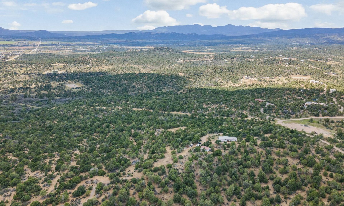 Durango House | Private and Cozy Adventurer's Haven (Dog Friendly!)