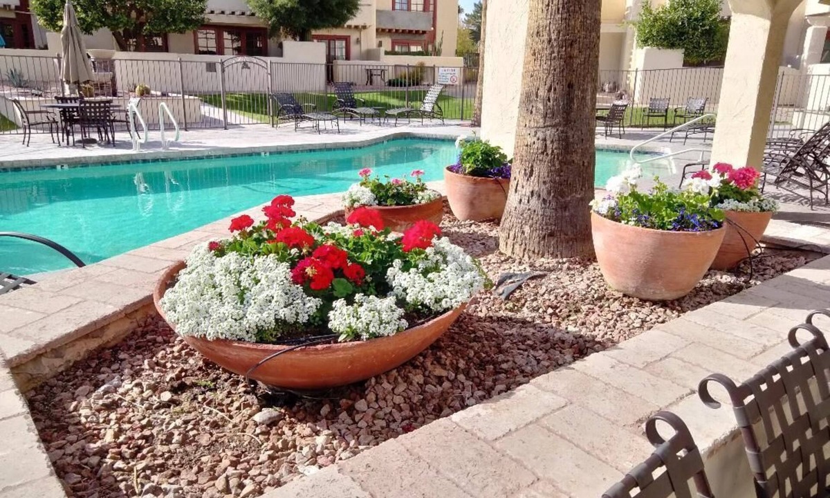 South Scottsdale Condo | SCOTTSDALE LUXURY 2BD. CONDO OVER 100 5 STAR REVIEWS HIDDEN GEM RESORT AREA.