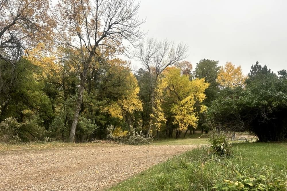 Sturgis Cabin | Spacious Cabin with Fire Pit, Perfect for a Family Getaway to Custer State Park