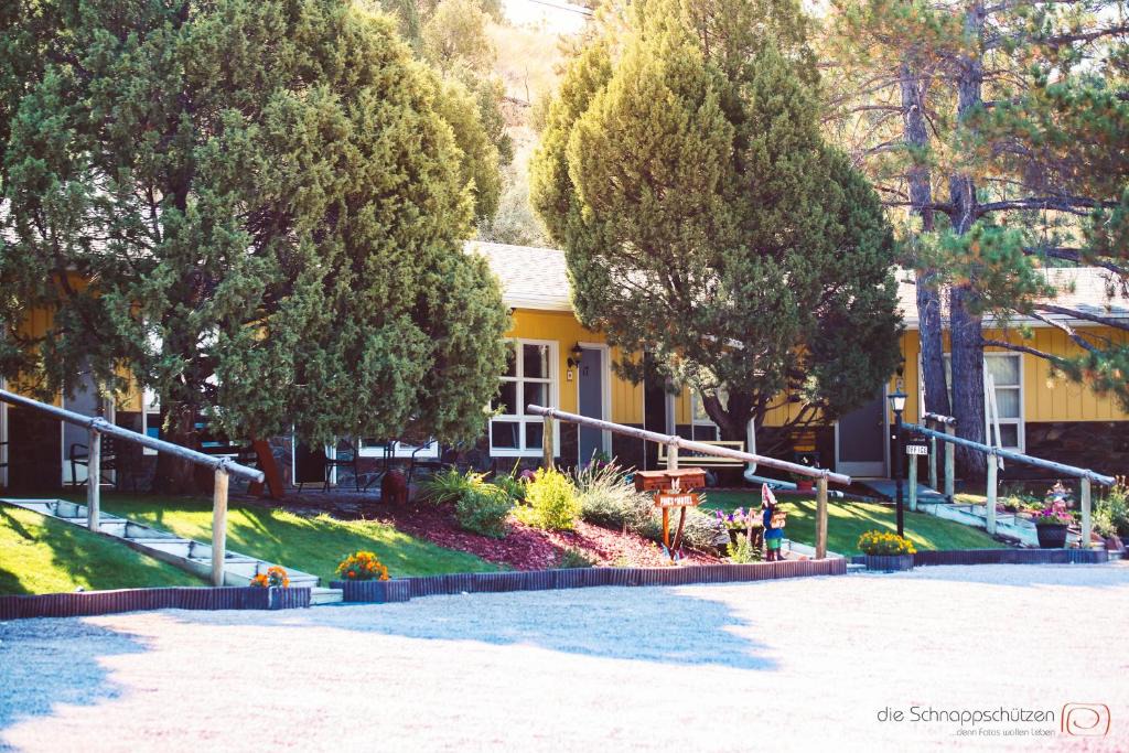 Newcastle Hotel | The Pines Country Inn