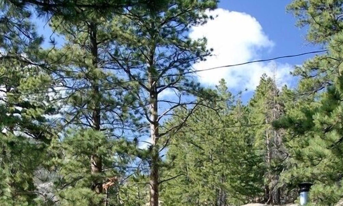 Estes Park Cabin | Timber Creek Chalets by Rocky Mountain Resorts