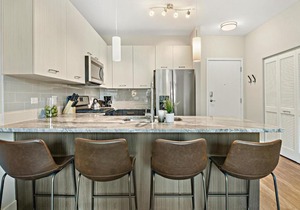 Classy & Peaceful 2BR Apt in Oakbrook OAK23
