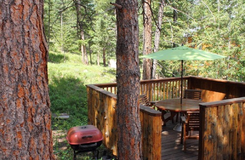 Estes Park Cabin | Aztec Inspired Cabin - Mountain Views, Trailside Retreat