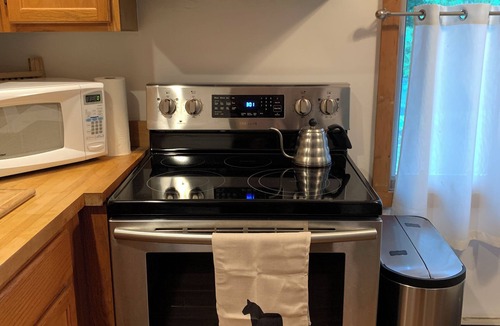 Windham Condo | Black Dome - a 2B, 2B Condo 5 min from Windham, NY, and Windham Mt.