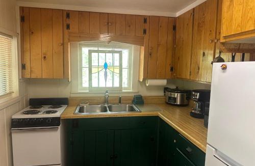 Red River House | Brown Dog Cabin With High Speed Wifi And Ac