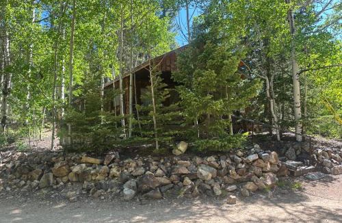 Red River House | Brown Dog Cabin With High Speed Wifi And Ac