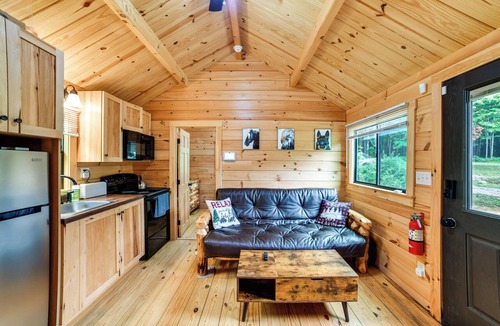 Sidney Center Cottage | Catskills Tiny Home Cabin: Surrounded by Nature!