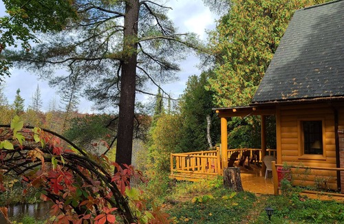 Vanderbilt Cabin | Charming 2-bedroom cabin in delightful Vanderbilt with WiFi, AC