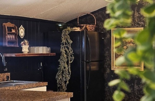 Red Oak House | Charming micro barn offering a cozy retreat! 4 Acres, Sleeps 6, pet friendly.