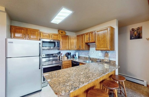 Wildernest Condo | Charming Mountain View Condo with WiFi, Fireplace