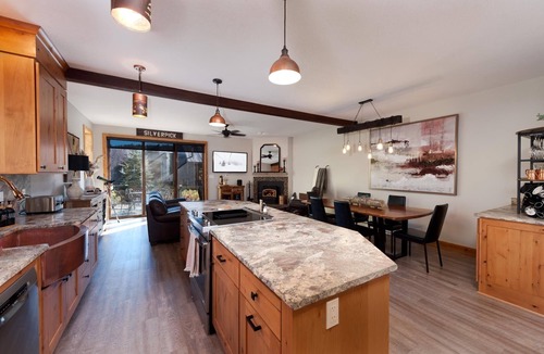 Purgatory House | Cliffside Casa | Mtn Views, Skiing & Dogs OK