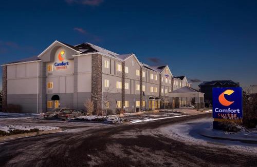 Englewood Hotel | Comfort Suites Denver Tech Center