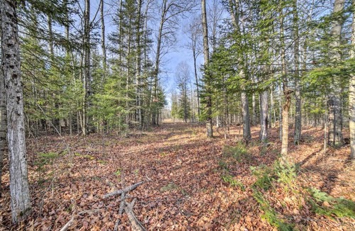Cornell House | Cornell Home w/Fire Pit & Hunting Access!