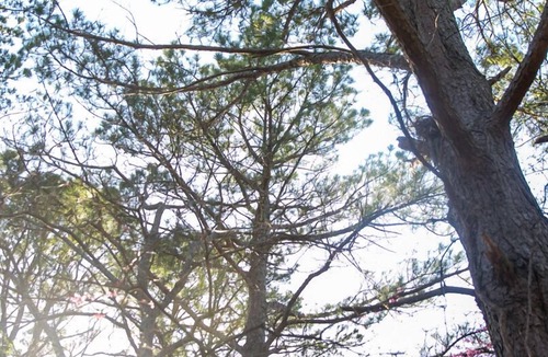 Sullivan House | Couples Farm Getaway