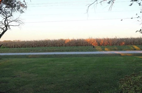 New Century House | Cozy 2-bedroom house in tranquil Eudora Kansas. Close to FIFA World Cup venues!