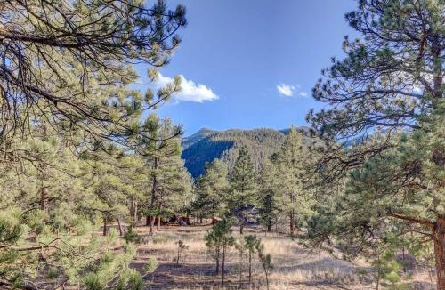 Pine House | Cozy Cabin Getaway with Mountain Views & Fireplace