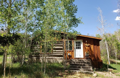 Crawford Cabin | Cozy Cabin on 80 Acres Near Needle Rock