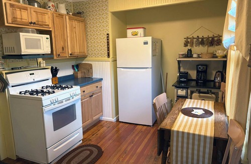 Nederland Cabin | Cozy & Quiet 1BD Cabin in Nederland ~ Walk to Downtown