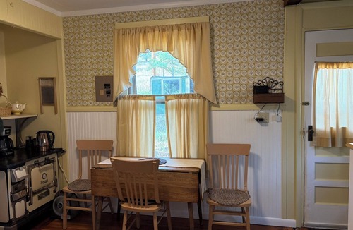 Nederland Cabin | Cozy & Quiet 1BD Cabin in Nederland ~ Walk to Downtown