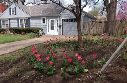 Ward Parkway House | Cute room in Waldo with private bathroom
