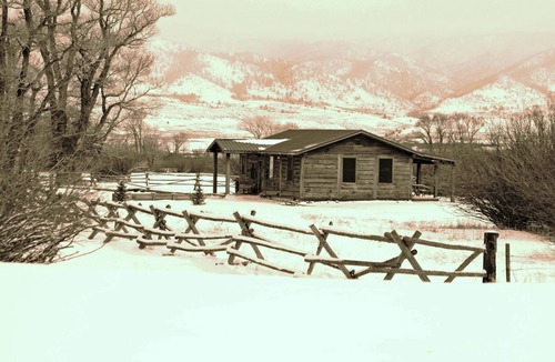 Woods Landing-Jelm Cabin | Deerwood Station- Relax in Our Beautiful Guest Cabin!