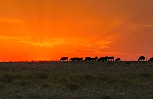 Beaver County Apartment | Enjoy peaceful prairie sunsets in rustic lodging in No Mans Land.