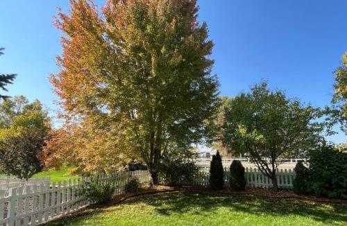Windsor House | Fabulous Family-Friendly Retreat by Windsor Lake!