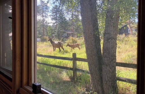 Estes Park Cabin | Fresh Remodeled Cabin, perfect location near RMNP & downtown Estes Park Colorado