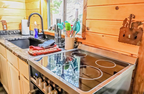 Estes Park Cabin | Gorgeous 2-Bedroom Modern Rustic Cabin with Views Cabin 1