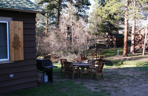 Estes Park Cabin | Great cancel policy and price! Cute 1 bedroom cabin