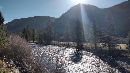 Bellvue House | Homey, Pet Friendly Cabin near Lory State Park in Poudre Canyon, Colorado