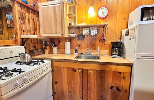 Estes Park Cabin | Honeymoon Cabin - The Iconic Lovebirds Hideaway Duplex