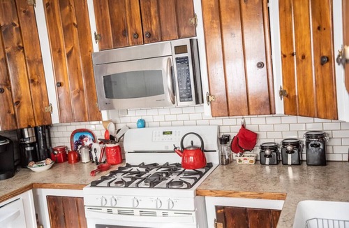 Estes Park Cabin | Hot tub, fireplace & turkeys near National Park