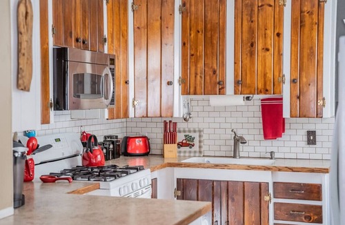 Estes Park Cabin | Hot tub, fireplace & turkeys near National Park