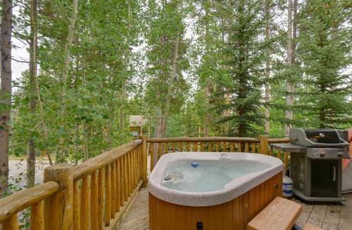 Warrior's Mark West House | Hot Tub & Ski Shuttle: Rustic Breckenridge Retreat
