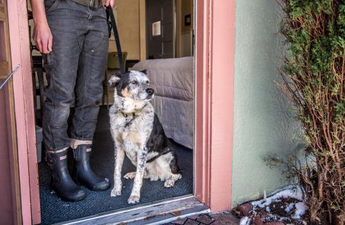 Bisbee Hotel | Jonquil Motel