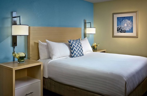Omaha Hotel | Just What You Were Looking For! Onsite Pool, Free Breakfast, Pets Allowed