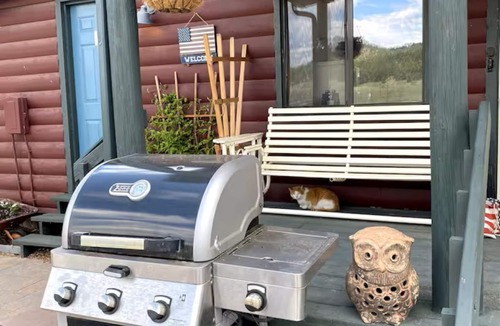 Lake George Cabin | Lake George Cabins & RV Park: Cabin 4, Roastin' S'mores