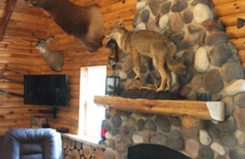 Germfask Cabin | Lazy Cedars Log Cabin - Centrally located